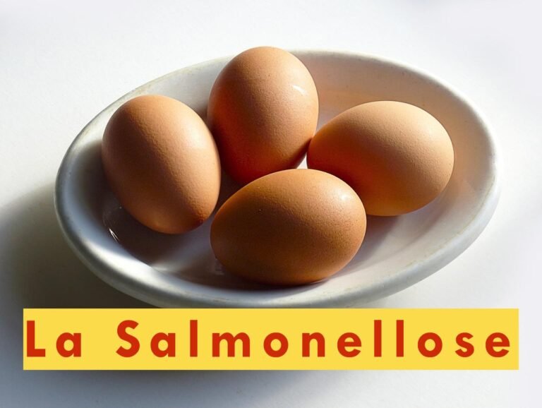 Comprendre la Salmonellose: Tout Savoir