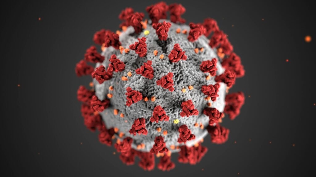 Influenza aviaire : symptômes, transmission et traitements